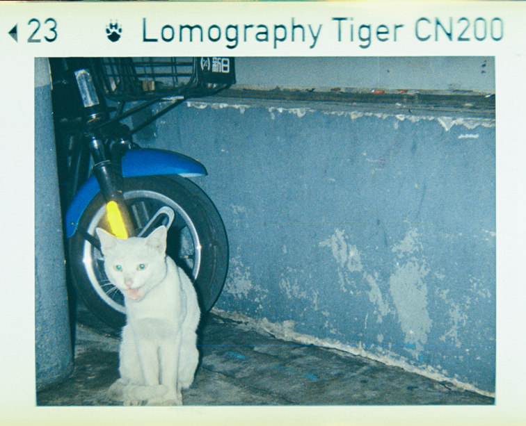 Lomography Tiger CN200