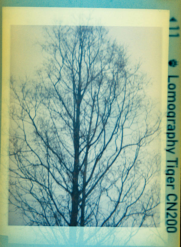 Lomography Tiger CN200
