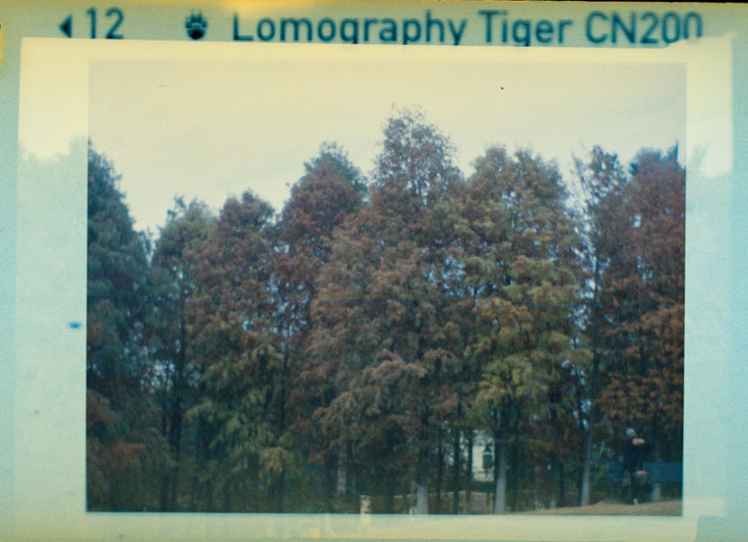 Lomography Tiger CN200