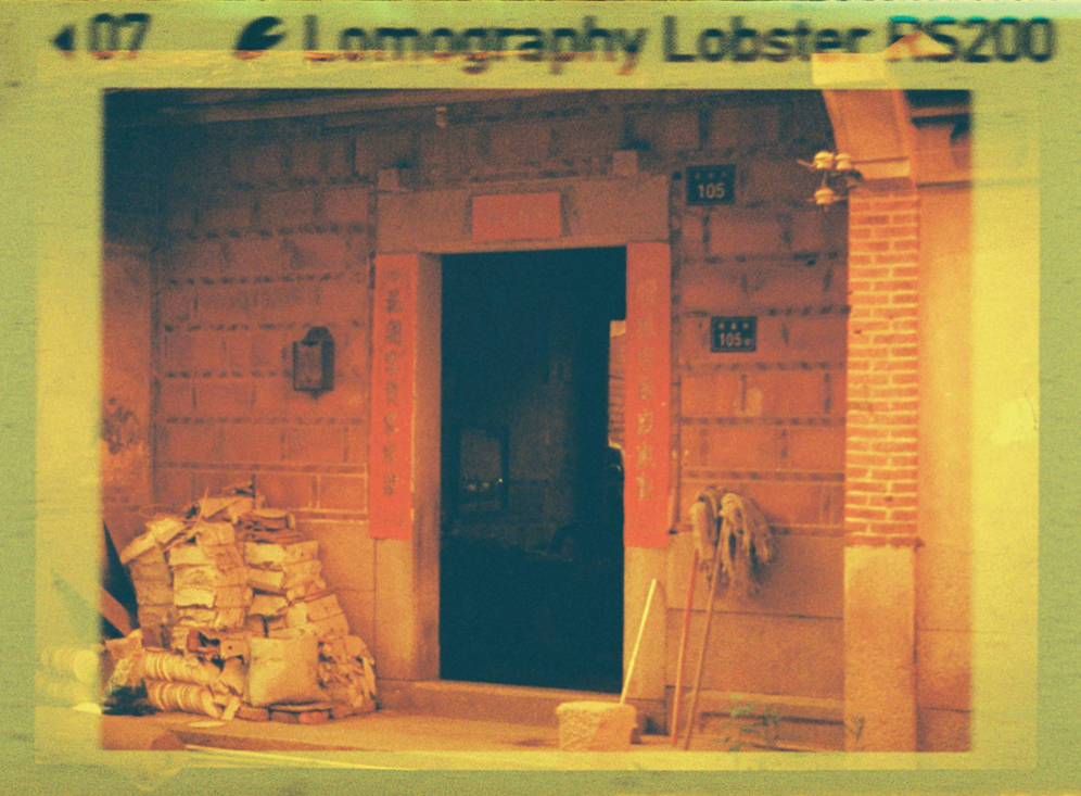 Lomography Lobster Redscale 110 红调负片胶卷