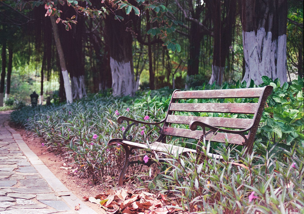 Lomography ISO800 35mm