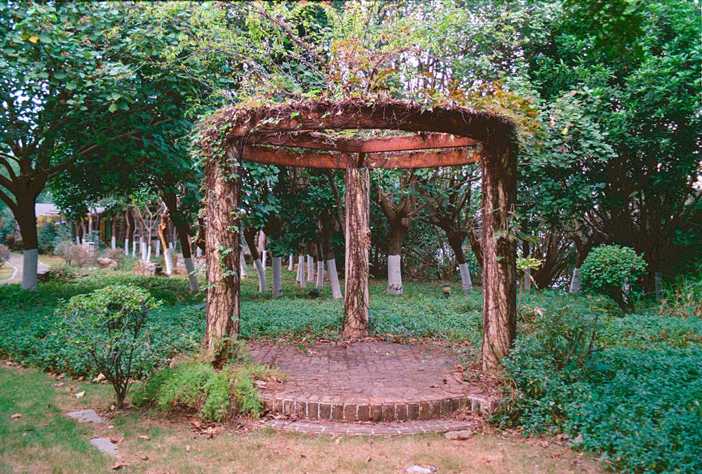 Lomography ISO800 35mm