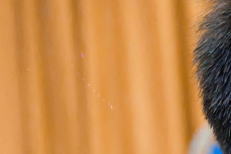 被激光照射导致的坏点照片。